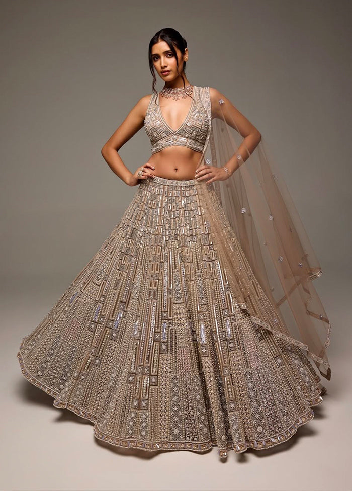 Golden Net Dupatta Lehenga Set