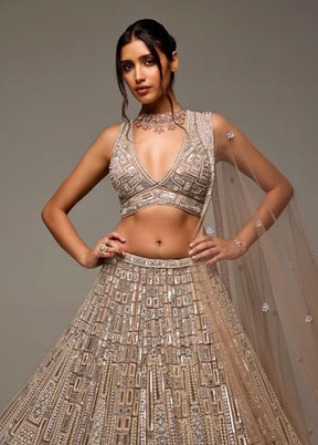 Golden Net Dupatta Lehenga Set