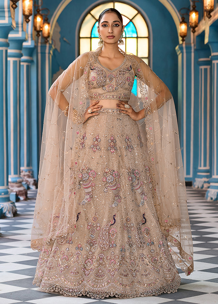 Brown Net Dupatta Lehenga Set