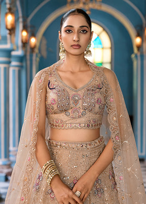 Brown Net Dupatta Lehenga Set