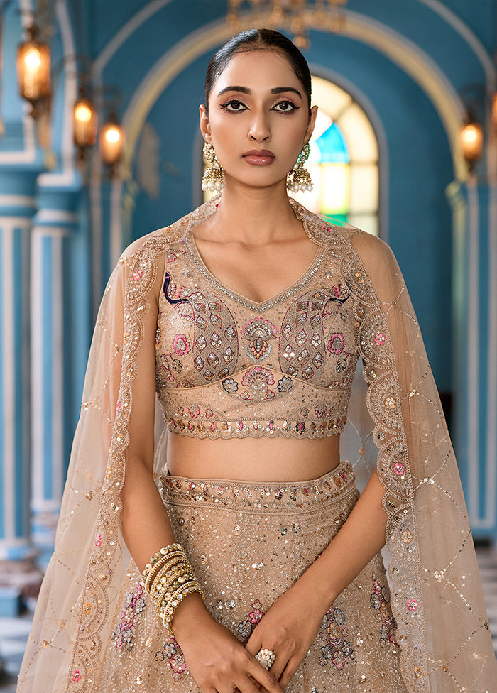 Brown Net Dupatta Lehenga Set