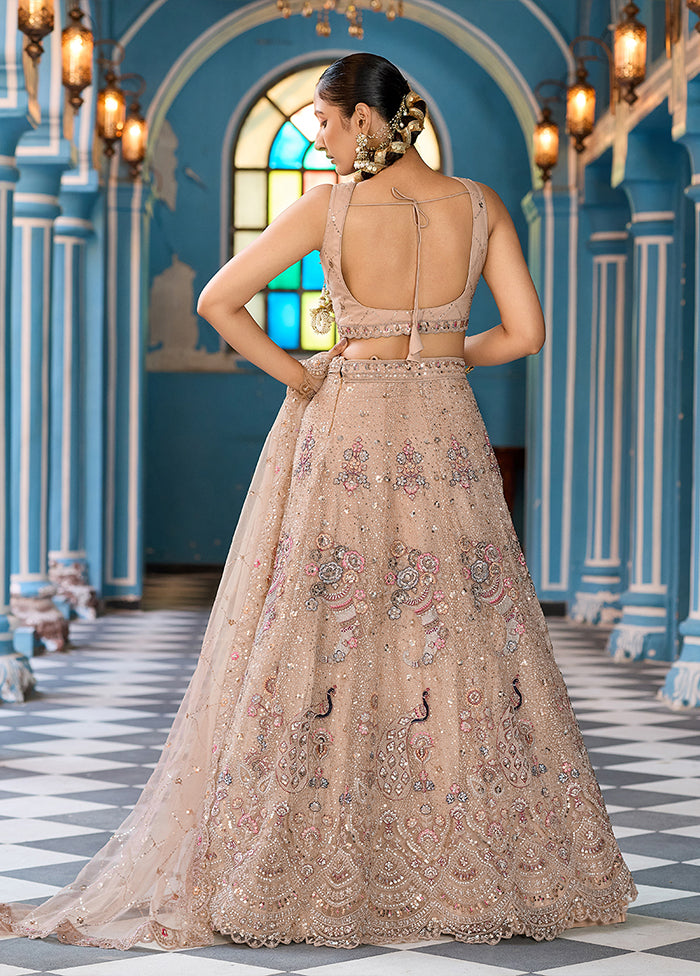 Brown Net Dupatta Lehenga Set