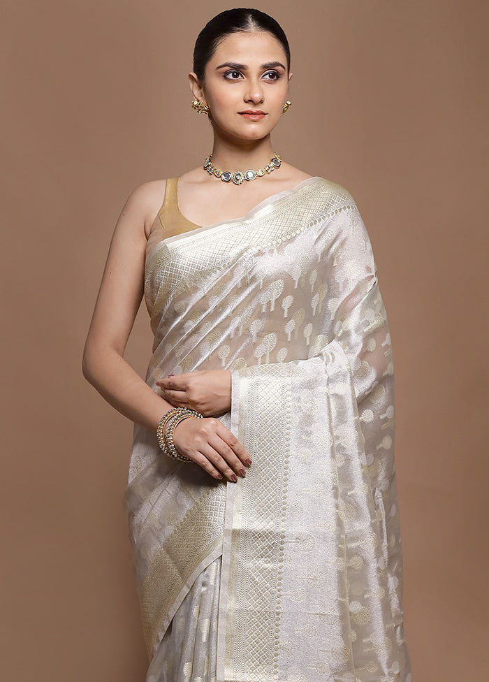 Grey Tissue Silk Saree With Blouse Piece
