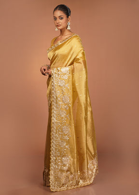 Grey Handloom Tissue Pure Silk Saree With Blouse Piece