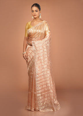 Pink Handloom Pure Organza Saree With Blouse Piece