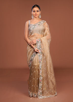 Cream Handloom Tissue Pure Silk Saree With Blouse Piece