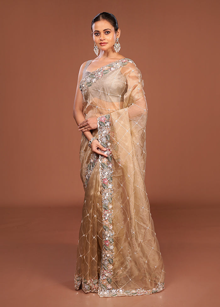 Cream Handloom Tissue Pure Silk Saree With Blouse Piece