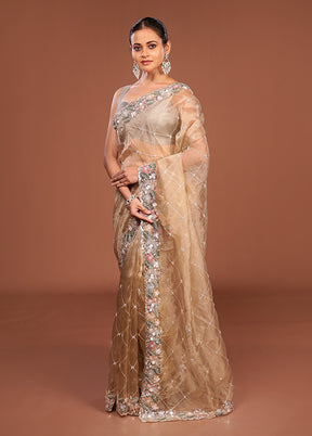 Cream Handloom Tissue Pure Silk Saree With Blouse Piece