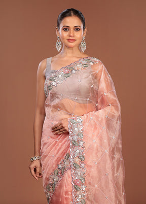 Peach Handloom Tissue Pure Silk Saree With Blouse Piece