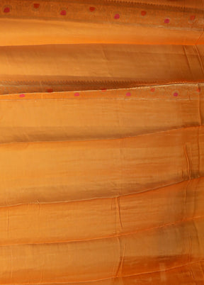 Orange Handloom Pure Georgette Saree With Blouse Piece