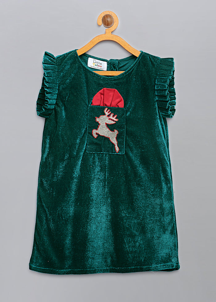 Green Embroidery Work Velvet Dress