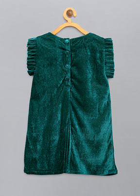 Green Embroidery Work Velvet Dress