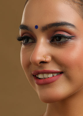 Golden Brass Nosering