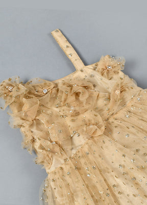 Golden Net Floral Pattern Gown - Indian Silk House Agencies